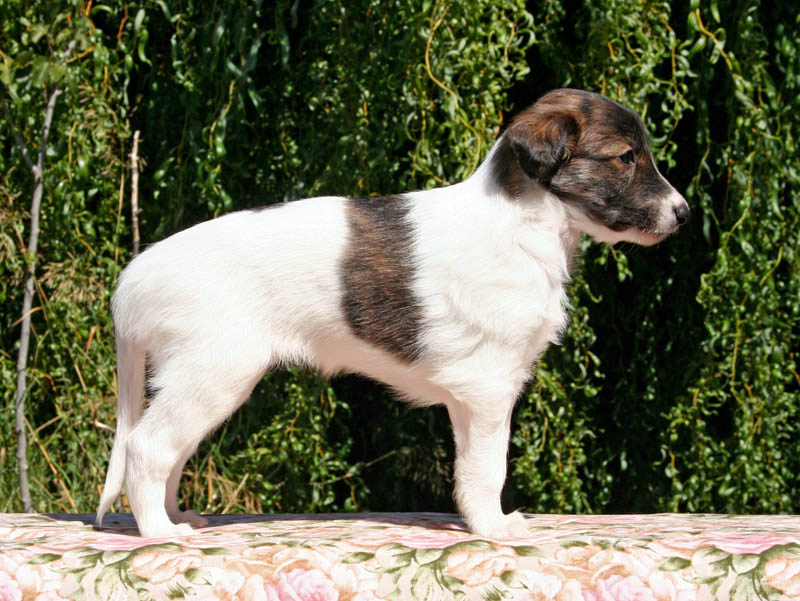 Surf Spots - Girl 1 Right